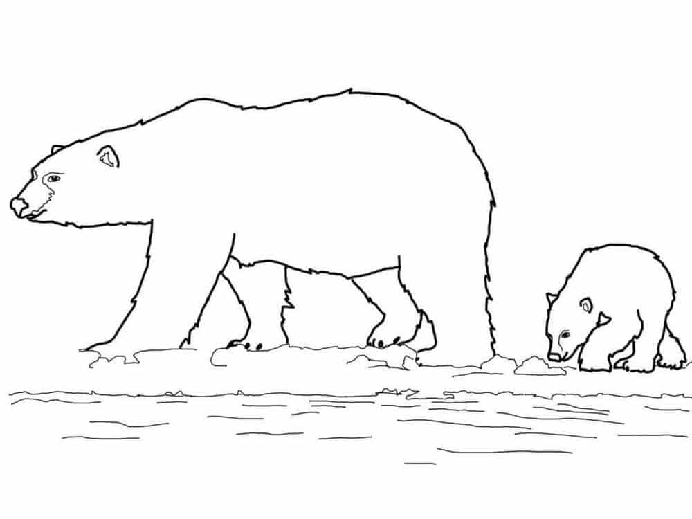 ציור לצביעה של אמא דובה עם גור דובים על קרח בקוטב