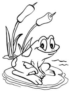 דף צביעה ציור של צפרדע יושבת על יד קני סוף לצביעה