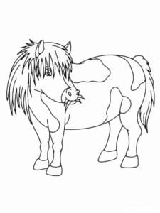 דף צביעה ציור לצביעה של סוס פוני עם רעמת שיער אוכל תבן