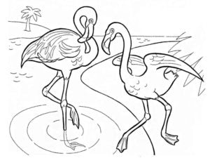 דף צביעה ציור לצביעה של פלמינגו רץ למים