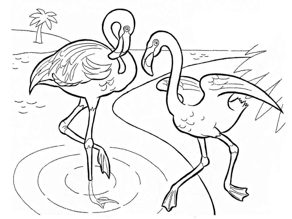 דף צביעה ציור לצביעה של פלמינגו רץ למים