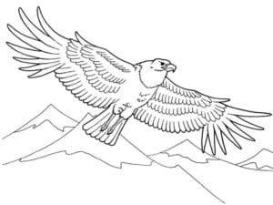 דף צביעה דף צביעה עם ציור של נשר עף מעל רכס הרים