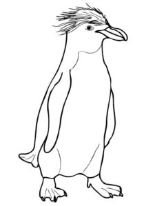 דף צביעה דף צביעה פשוט עם ציור של פינגווין עם נוצות על הראש
