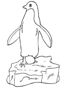 דף צביעה ציור לצביעה של פינגווין עם ביצה על קרח