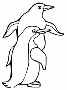 דף צביעה ציור של שני פינגווינים לצביעה