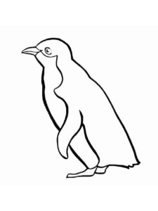 דף צביעה ציור פשוט של פינגווין לצביעה