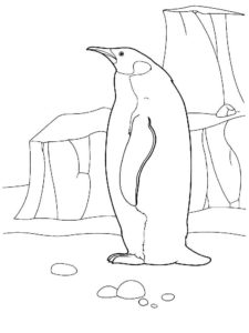דף צביעה ציור לצביעה של פינגווין גדול בקוטב