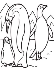 דף צביעה דף צביעה יפה עם ציור של שני פינגווינים בוגרים וגוזל