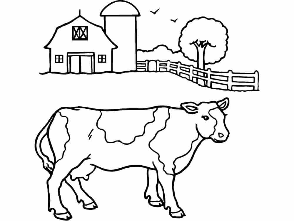 דף צביעה ציור של פרה בחווה לצביעה