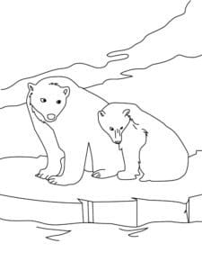 דף צביעה דף צביעה עם ציור של שני דובים גדולים בקוטב