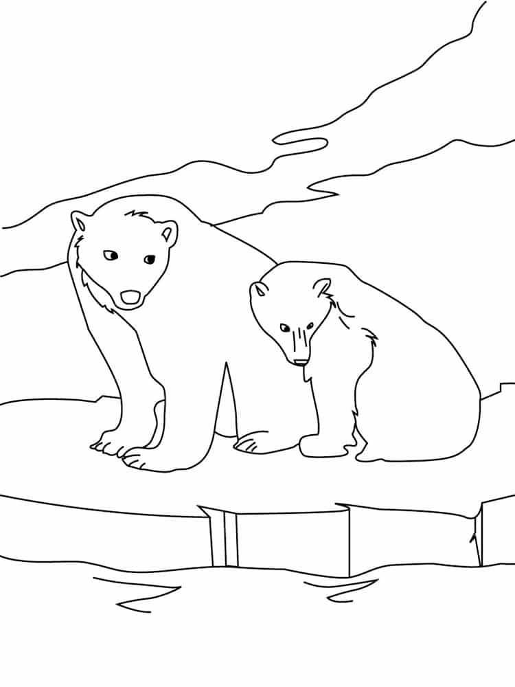 דף צביעה דף צביעה עם ציור של שני דובים גדולים בקוטב