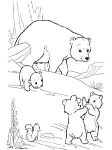 דף צביעה ציור לצביעה של משפחת דובים מטיילת