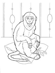 דף צביעה דף צביעה עם ציור של קוף יושב על כרית