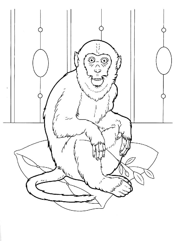 דף צביעה עם ציור של קוף יושב על כרית