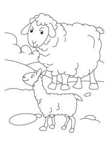 דף צביעה ציור פשוט של כבשים לצביעה