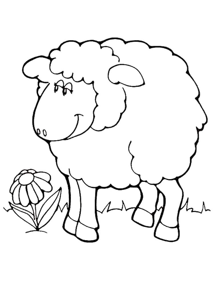 ציור של כבשה מחייכת עם פרח לצביעה
