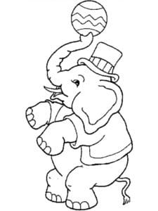 דף צביעה ציור לצביעה של פיל בקרקס