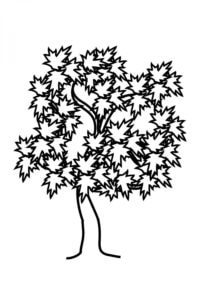 דף צביעה ציור של עץ תאנה עם עלים לצביעה