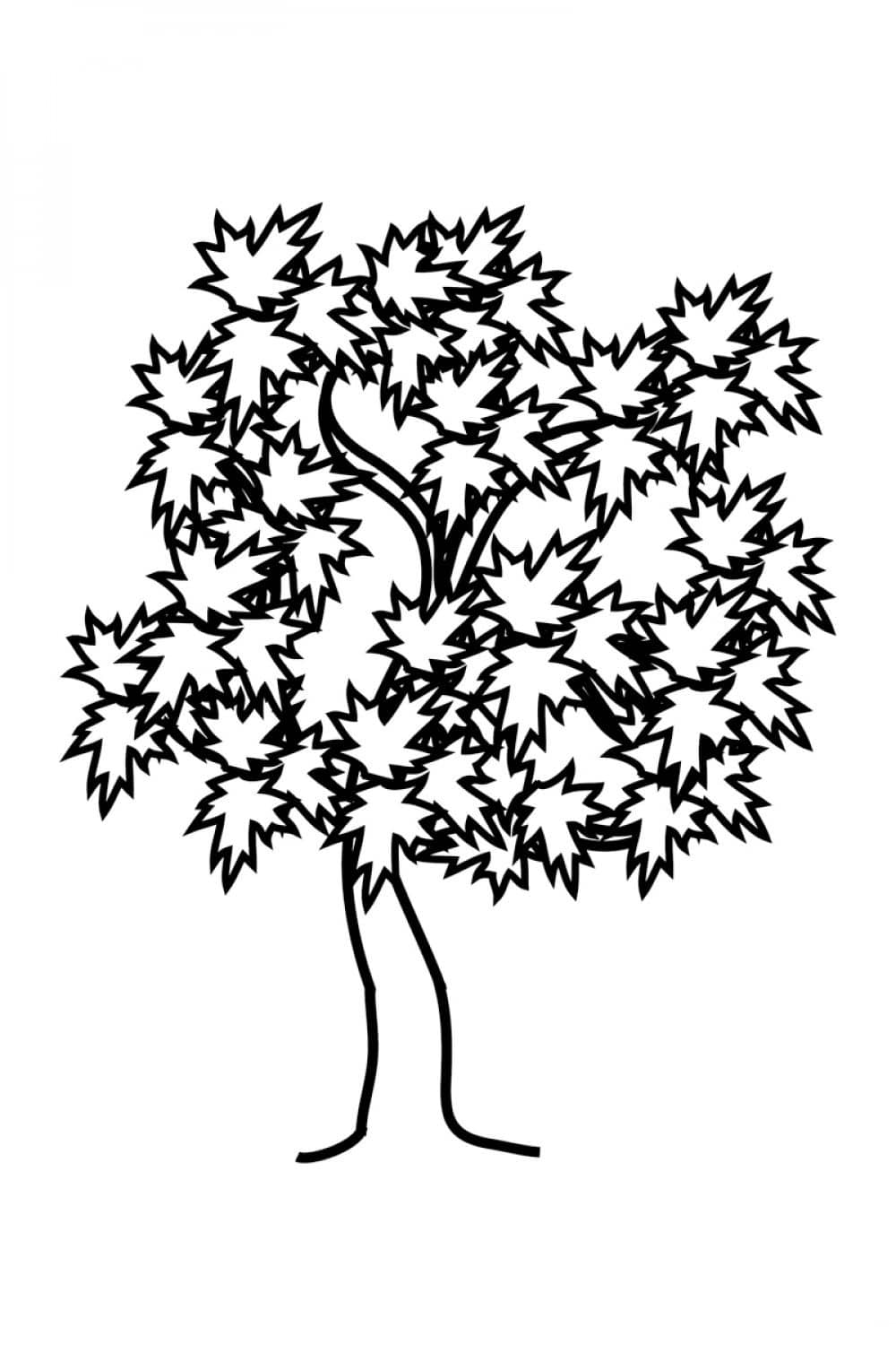 ציור של עץ תאנה עם עלים לצביעה