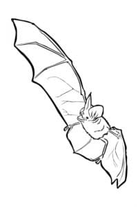 דף צביעה ציור לצביעה עם עטלף גדול
