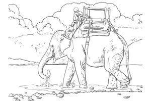 דף צביעה דף צביעה עם ציור של פיל צועד במים ועליו איש יושב