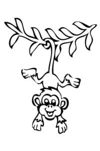 דף צביעה ציור לצביעה של קוף תלוי על עץ בזנבו