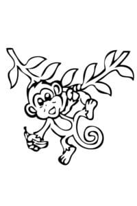 דף צביעה ציור לצביעה של קופיף תלוי על עץ עם בננה ביד