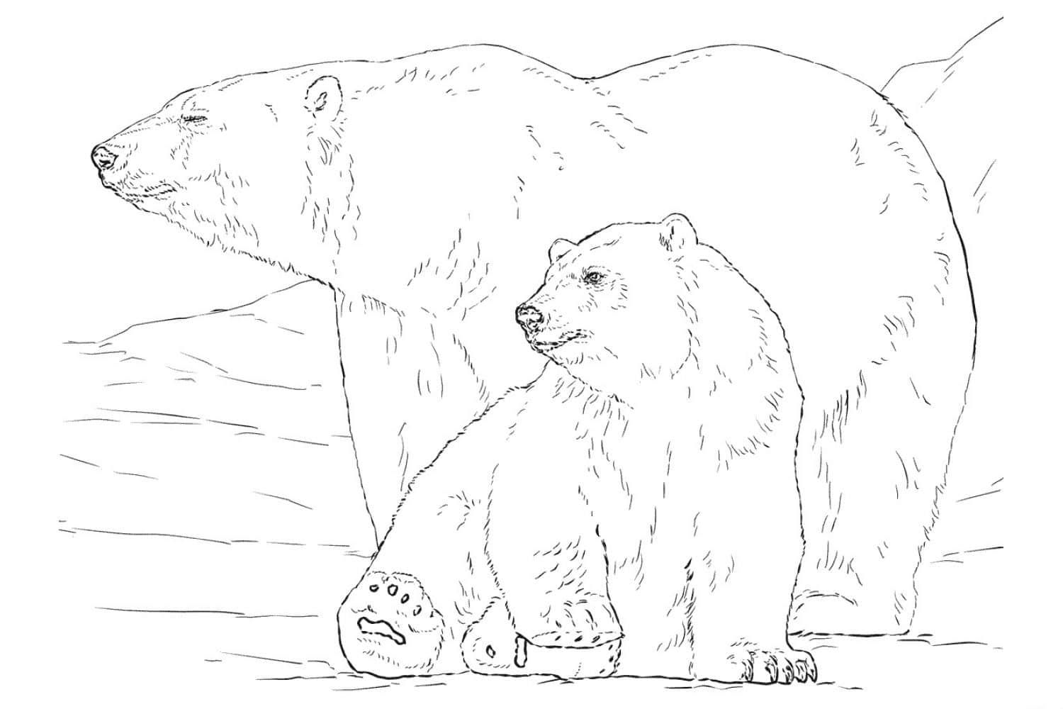 ציור לצביעה של שני דובים לבנים בקוטב