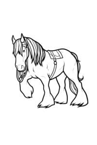 דף צביעה ציור לצביעה של סוס פוני מונגולי
