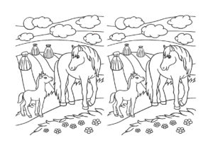 מצא את ההבדל בין  ציורים של סוסים