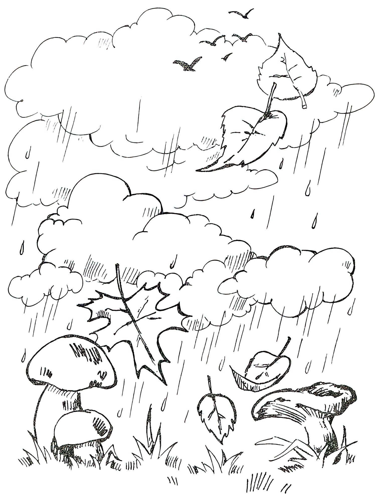 דף צביעה גשם בסתיו