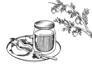 דף צביעה צנצנת דבש ורימונים